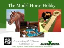 click for presentation slideshow